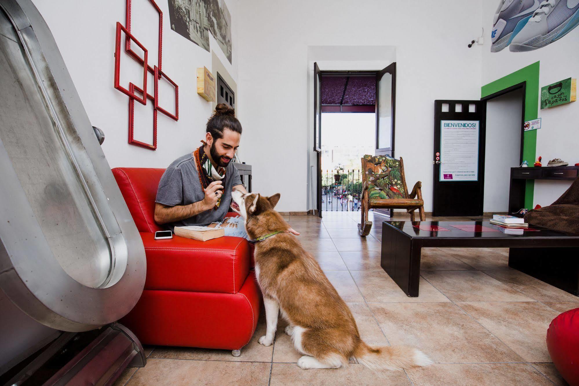 Hostal El Armario 레온 외부 사진
